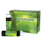 Evergreen/Chlorophyll for Oxygenating Blood/10/.5 fl oz mini pack bottles