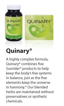 Quinary/Whole Food Supplement/10 Pack/5g packets of concentrated herbal powder